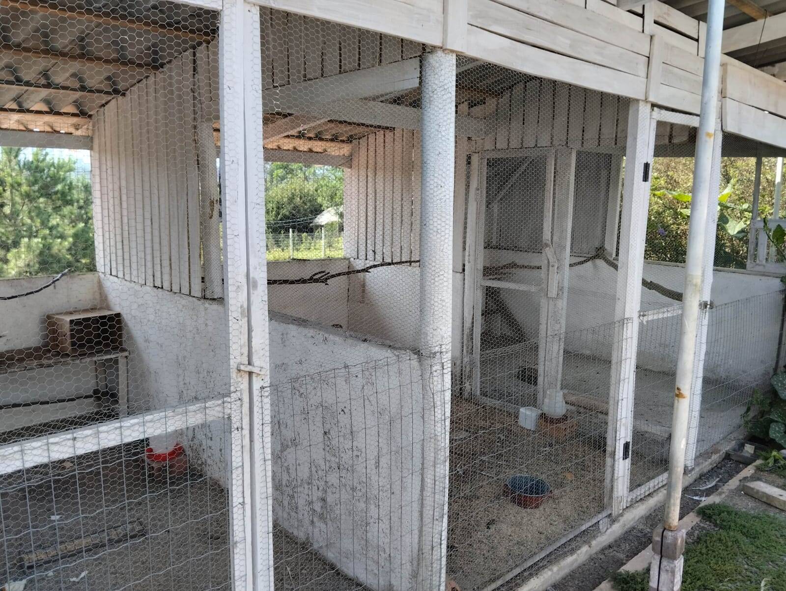 Chácara à venda com 3 quartos, 180m² - Foto 14