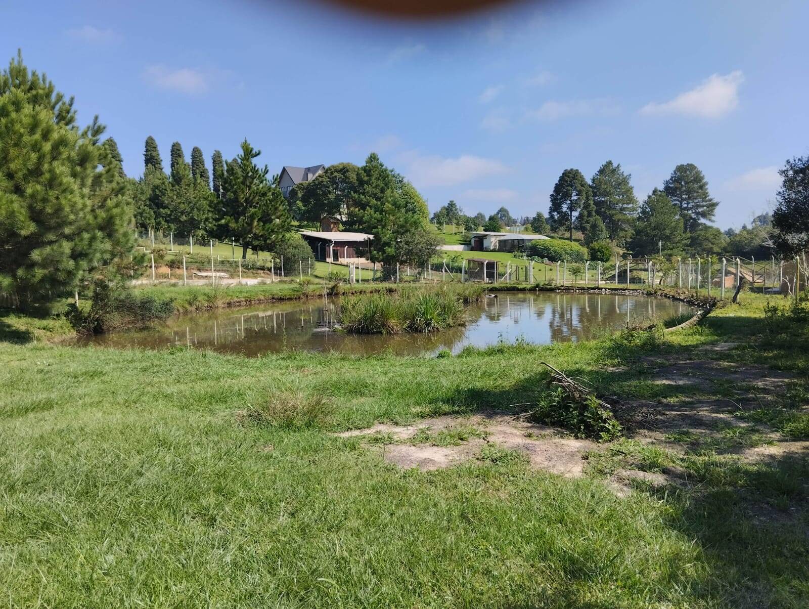Chácara à venda com 3 quartos, 180m² - Foto 28