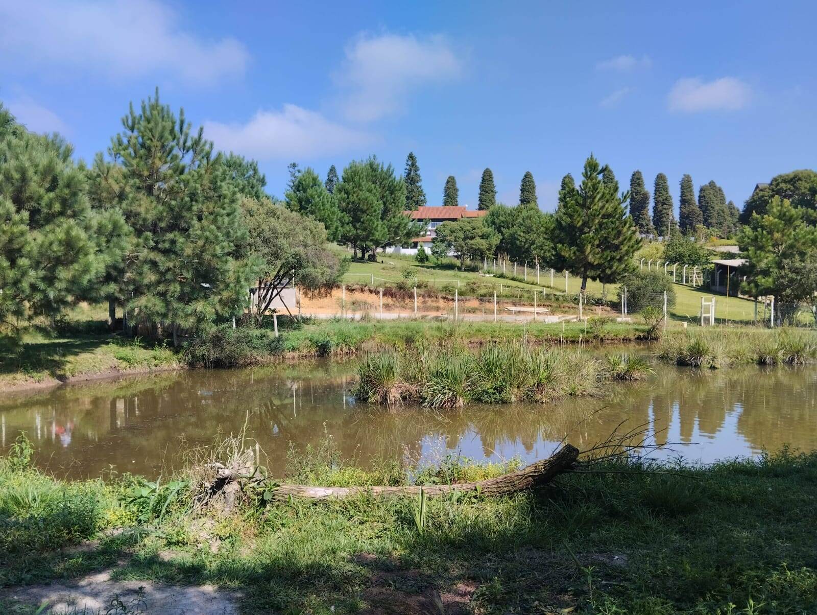 Chácara à venda com 3 quartos, 180m² - Foto 30