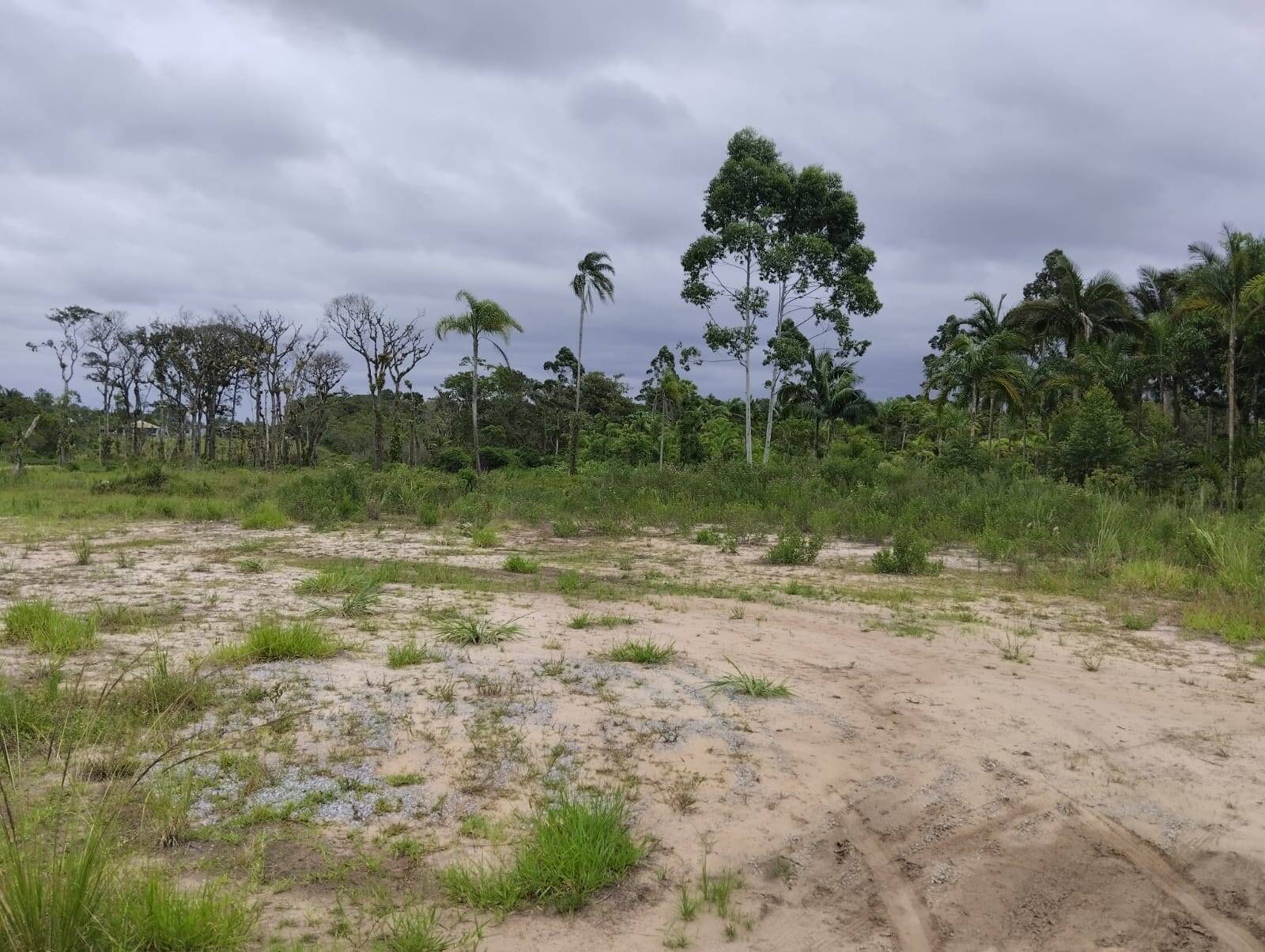 Terreno, 5900 m² - Foto 7