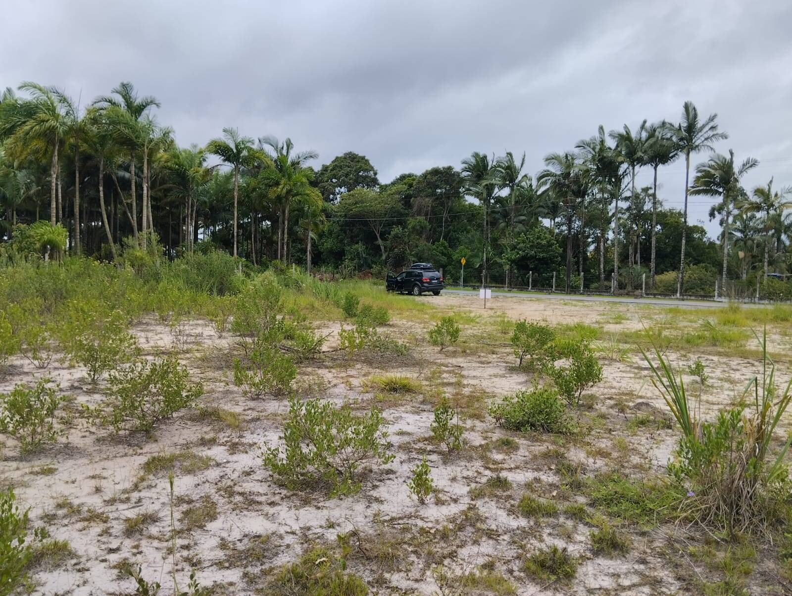 Terreno, 5900 m² - Foto 12