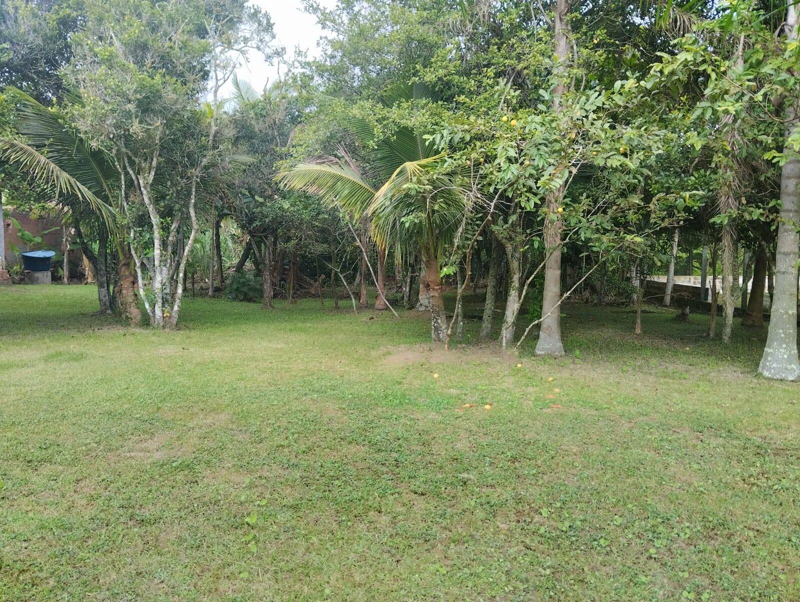 Terreno à venda, 325m² - Foto 4