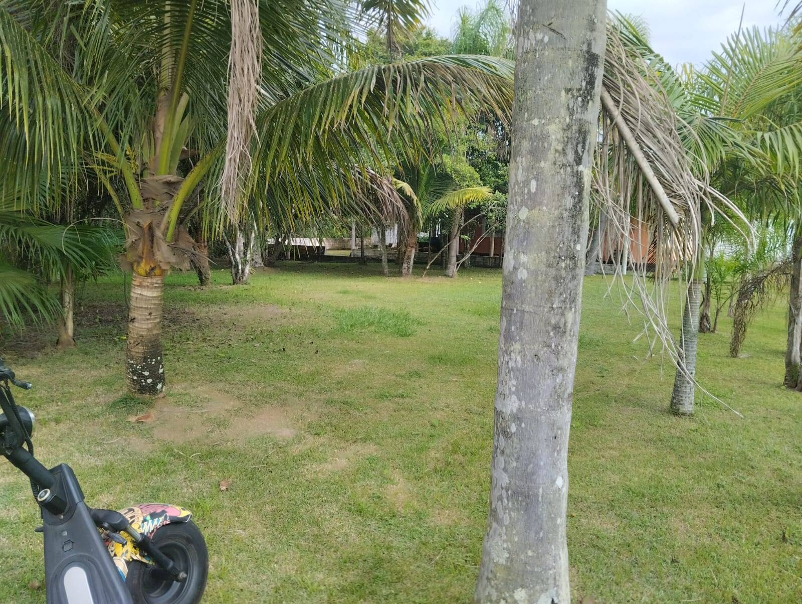 Terreno à venda, 325m² - Foto 6