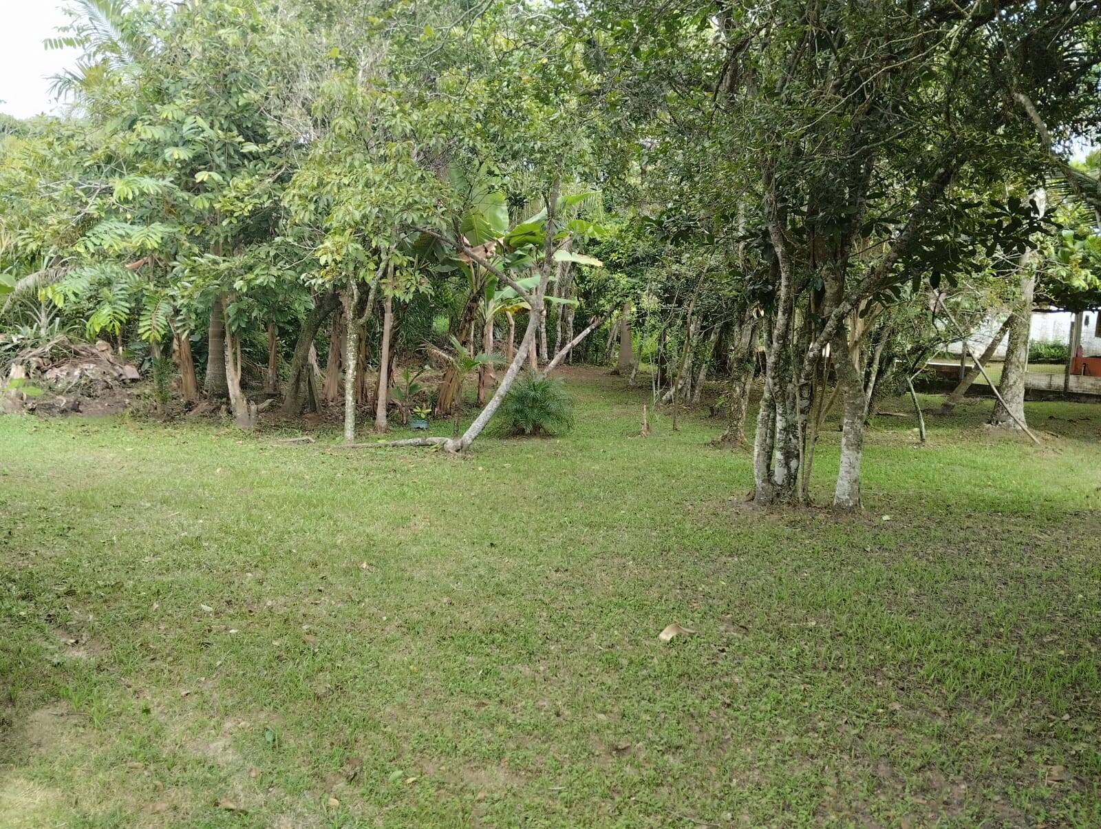 Terreno à venda, 325m² - Foto 7