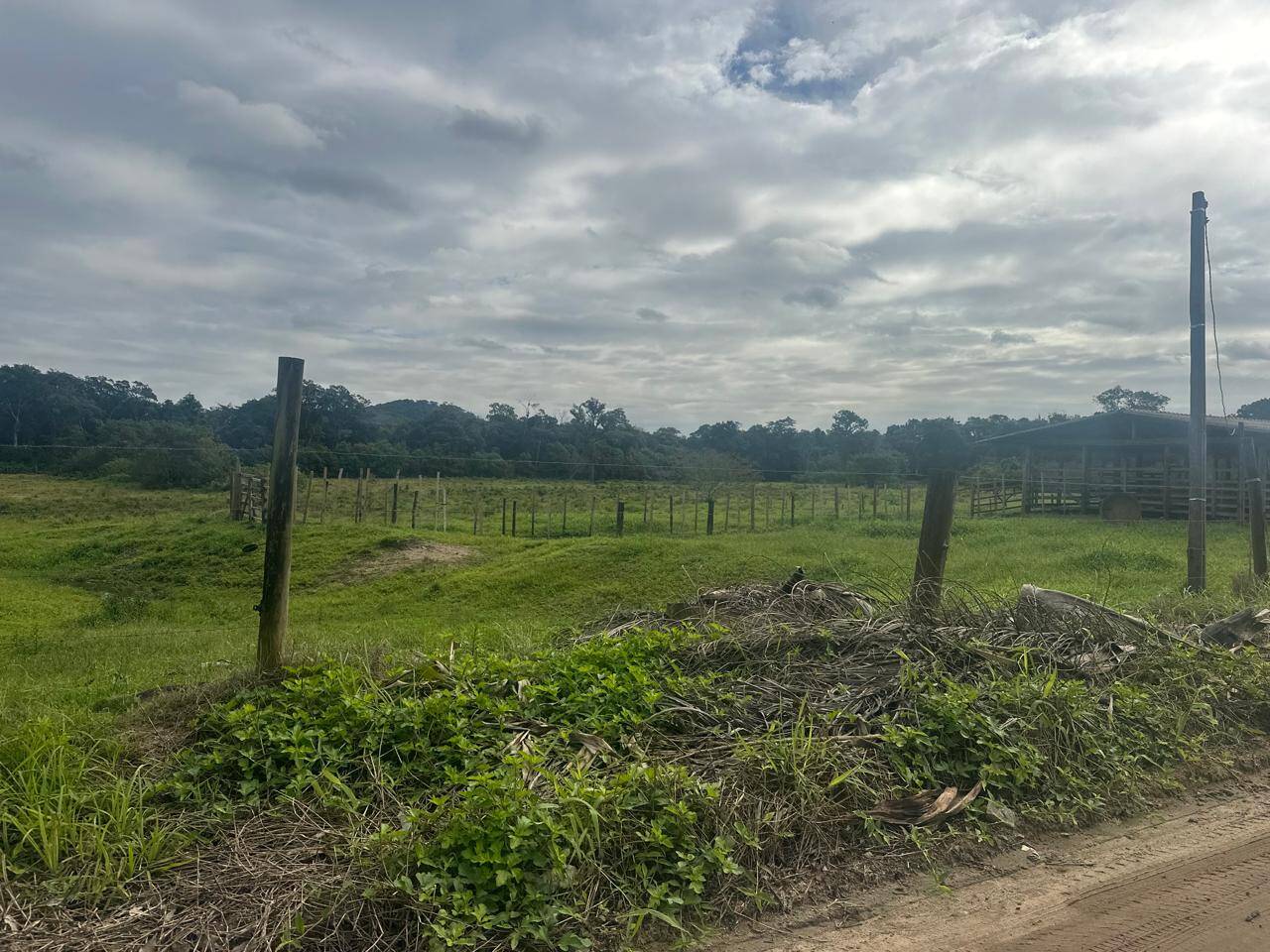 Terreno, 9 hectares - Foto 8