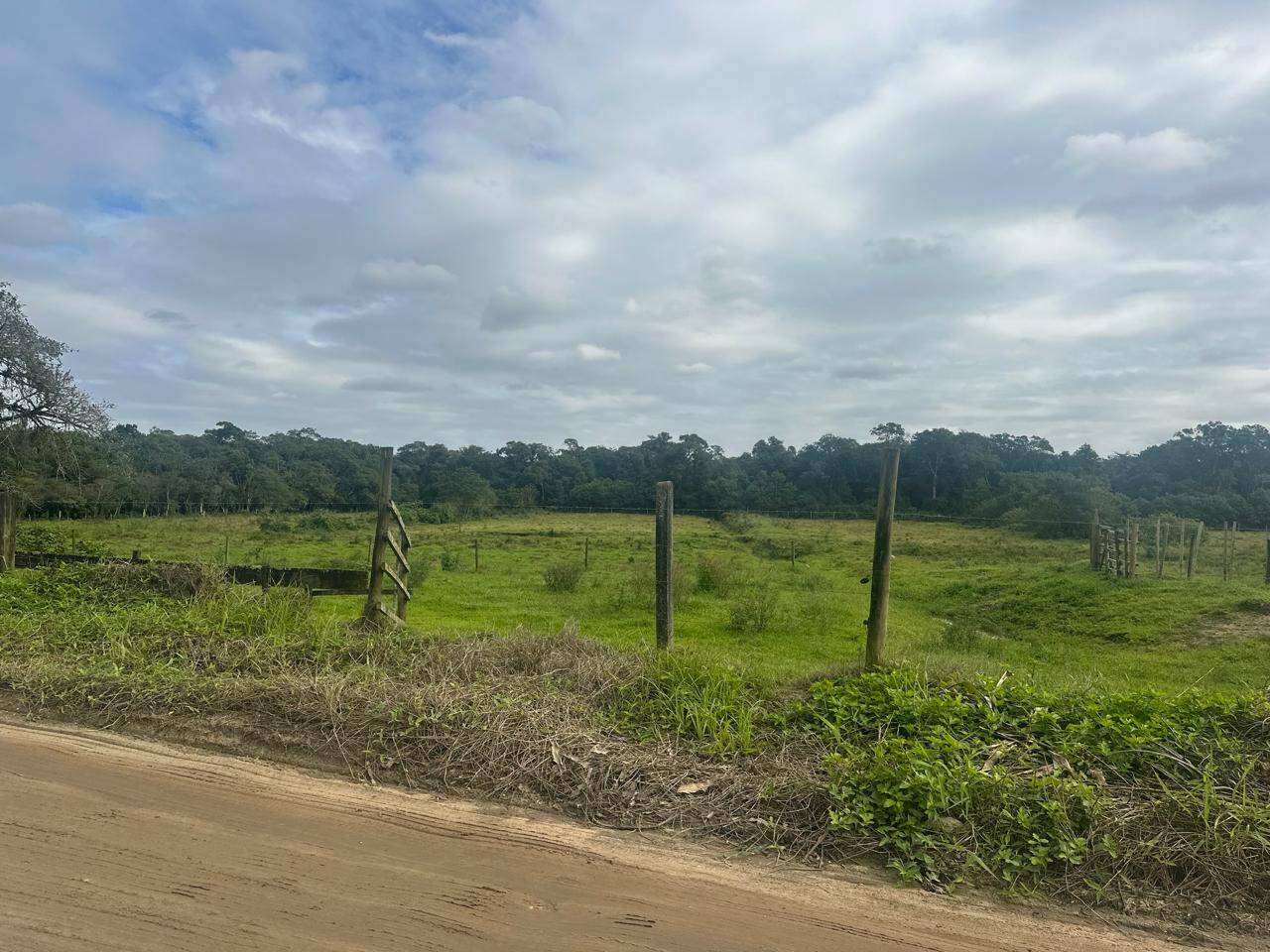 Terreno, 9 hectares - Foto 7