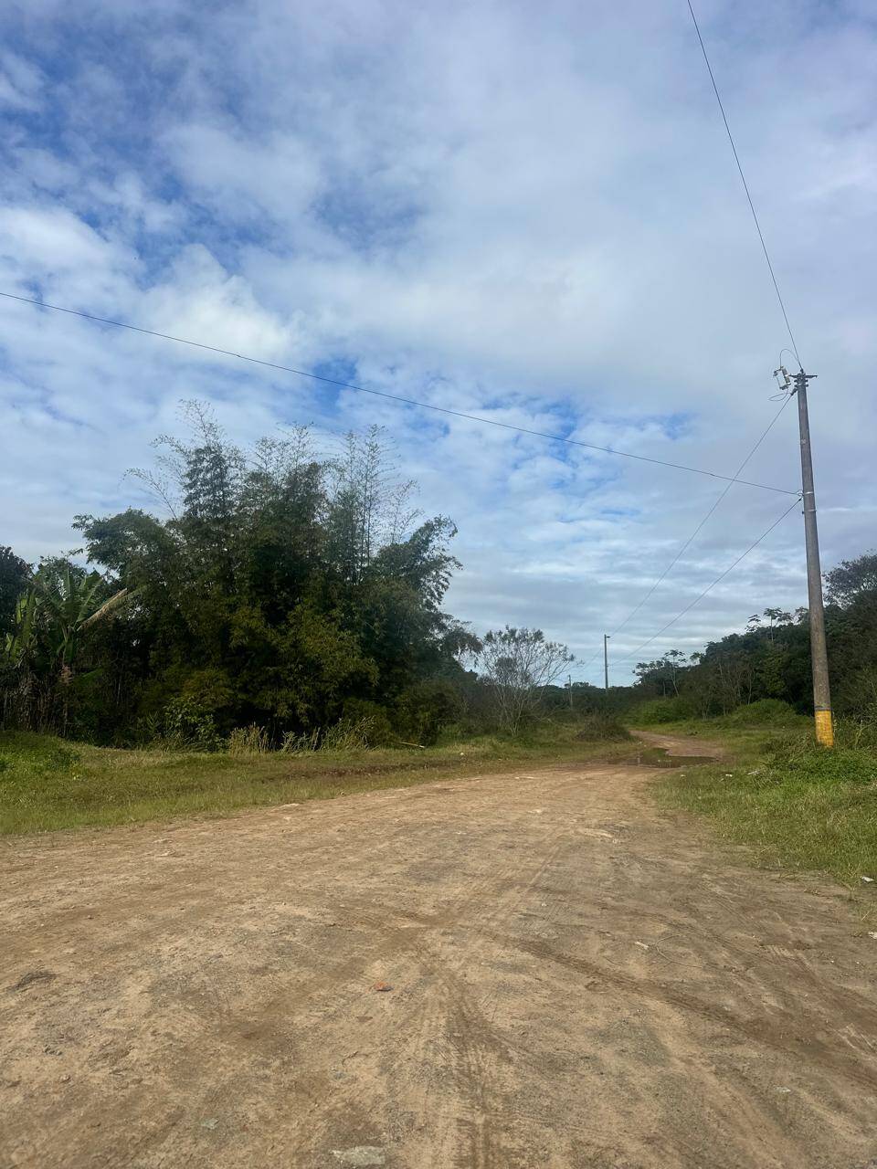 Terreno, 9 hectares - Foto 11