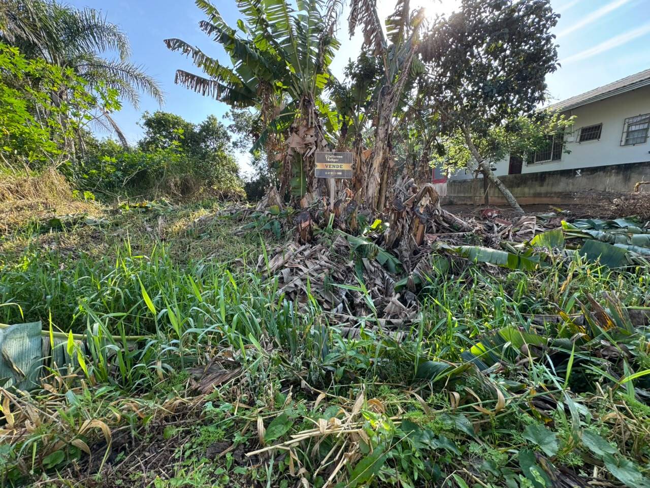 Terreno, 325 m² - Foto 2