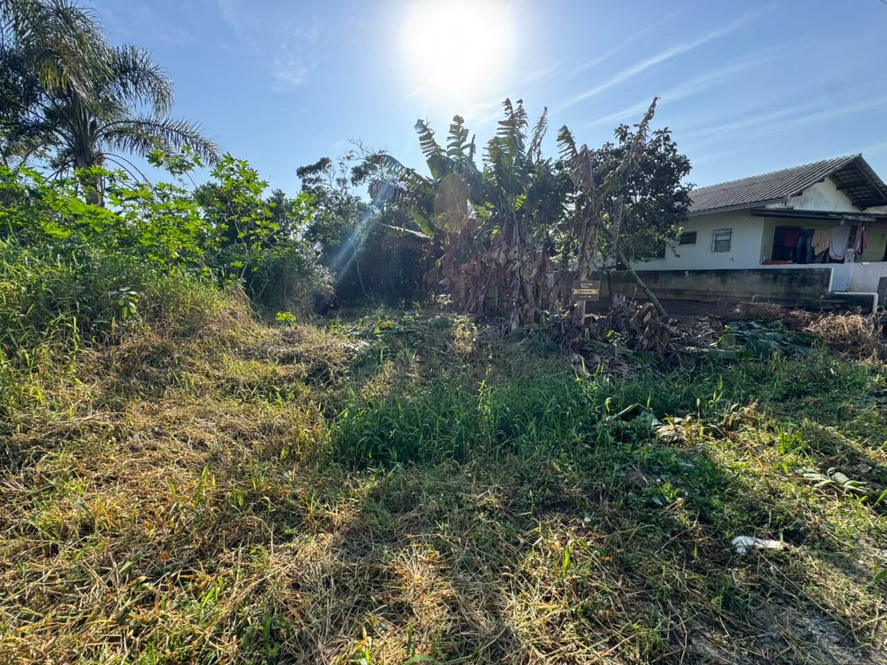 Terreno, 325 m² - Foto 6