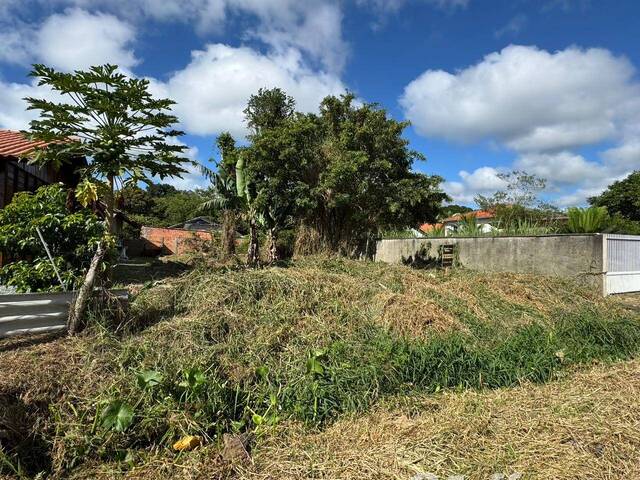 Terreno para Venda em Balneário Barra do Sul - 4