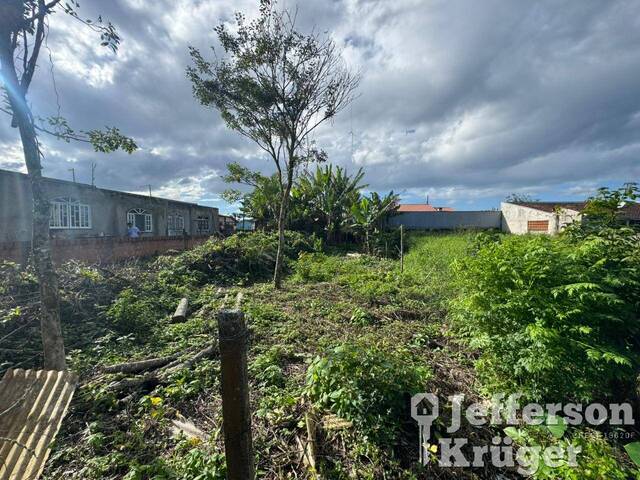 Terreno para Venda em Balneário Barra do Sul - 4